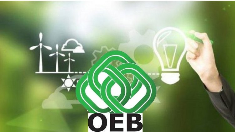 OEB's energy sector members come forward on the GSI-The cable must not ...