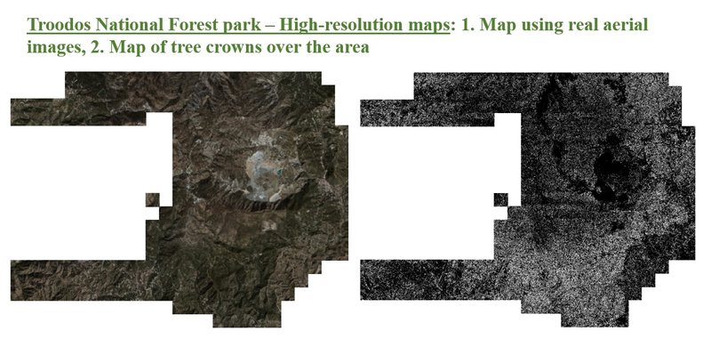 Cyprus Institute tree mapping